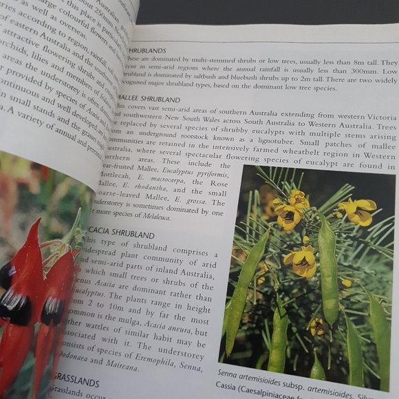 Field Guide to Australian Wildflowers Sofcover Book - Picture 4 of 7